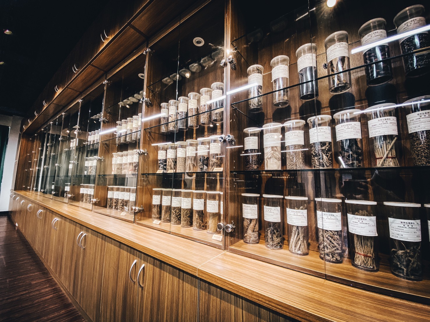 藥材標本區