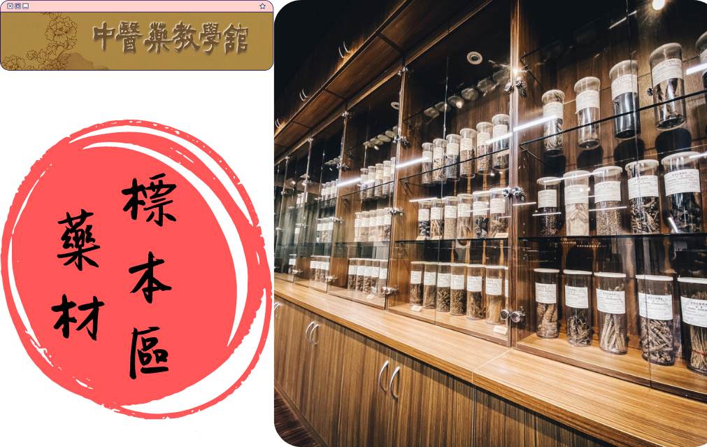 藥材標本區